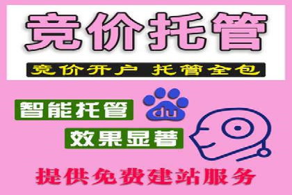 某品牌的信息流广告投放策略及效果展示